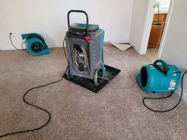 Best Carpet water damage restoration  in Columbus Junction, IA