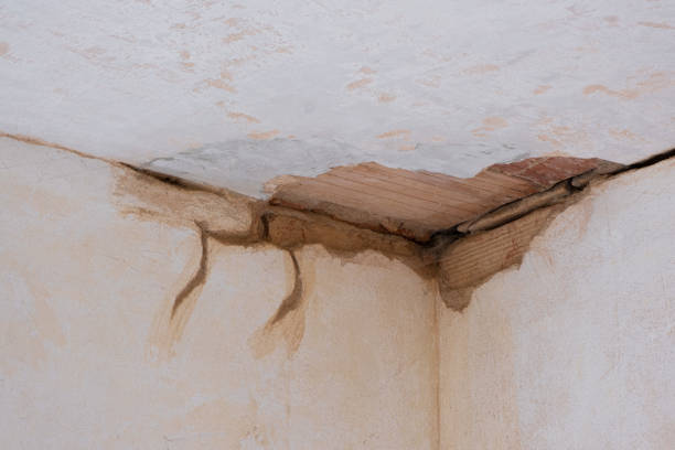 Best Local water damage restoration  in Columbus Junction, IA