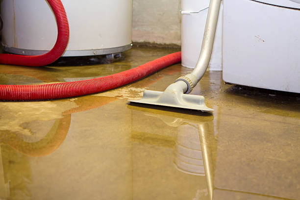 Best Flood damage cleanup  in Columbus Junction, IA