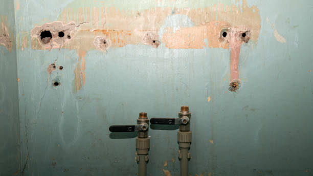 Best Ceiling water damage repair  in Columbus Junction, IA