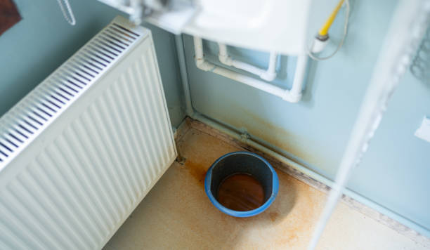 Best Water damage restoration process  in Columbus Junction, IA