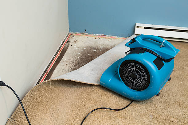 Best Commercial water damage restoration  in Columbus Junction, IA