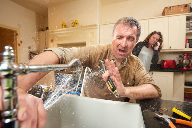 Best Water damage restoration near me  in Columbus Junction, IA